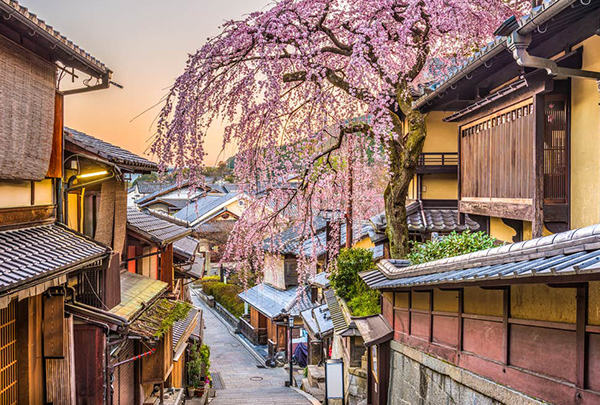Tất tần tật điều phải ghi nhớ nếu đang có ý định đi du lịch Nhật Bản mùa hoa anh đào